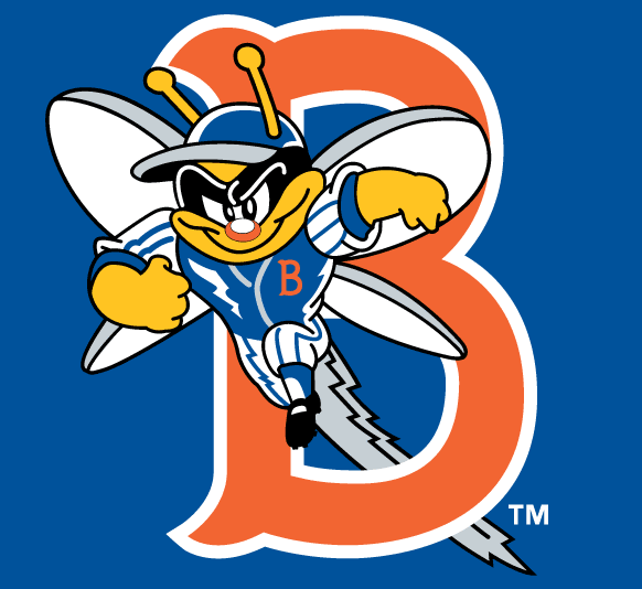 Binghamton Mets pres cap logo iron on transfers for clothing